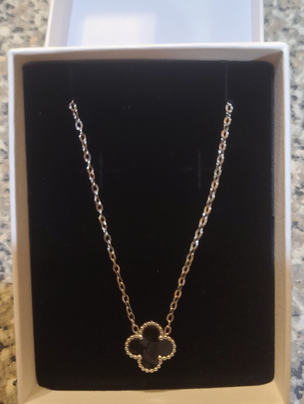 Stainless Steel Clover Pendant Necklace in Black